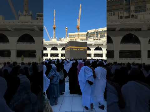 الهي واسع الكرم ورب البيت والحرم حالات وتس اب الحج 2023