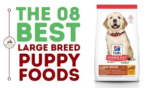 The Best Large Breed Puppy Foods