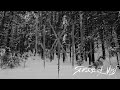 FUATH - Into the Forest of Shadows (Official Music Video)