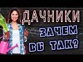 ДАЧНИКИ - ИЛИ КАК ЗАГУБИТЬ СВОЙ ОТПУСК! (feat Инквизитор Махоун)