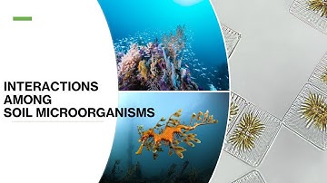 INTERACTIONS AMONG SOIL MICROORGANISMS - SOIL MICROBIOLOGY - ENVIRONMENTAL MICROBIOLOGY