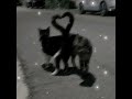 ويجز البخت بطيئ Wegz ElBakht Slowed ويجز البخت بطيئ Wegz ElBakht Slowed