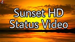 Sunset Quote || New Whatsapp Status & Quotes ||