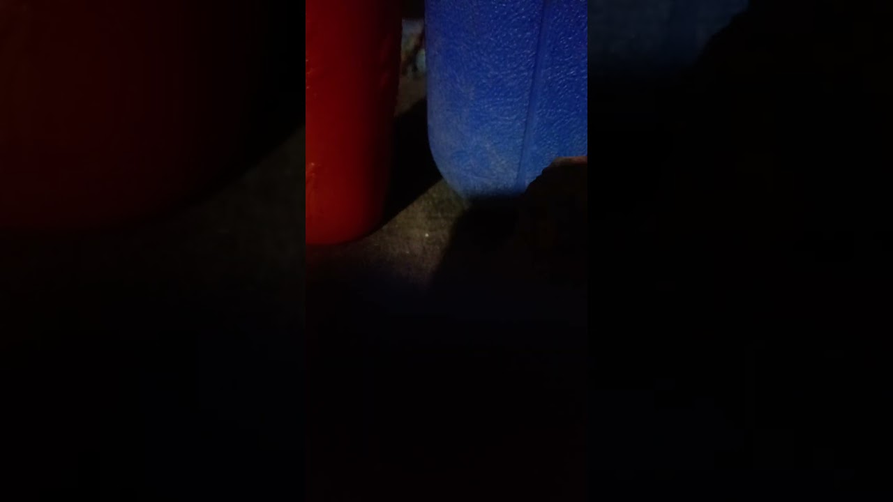 23 de octubre de 2025