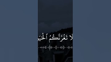 الشيخ ياسر الدوسري في آيات عظيمة تثلج الصدر عن الدنيا quran