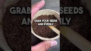 Grow your own Parsley. #propagation #germination #seed # seeds #herbgarden #herbs #propagation