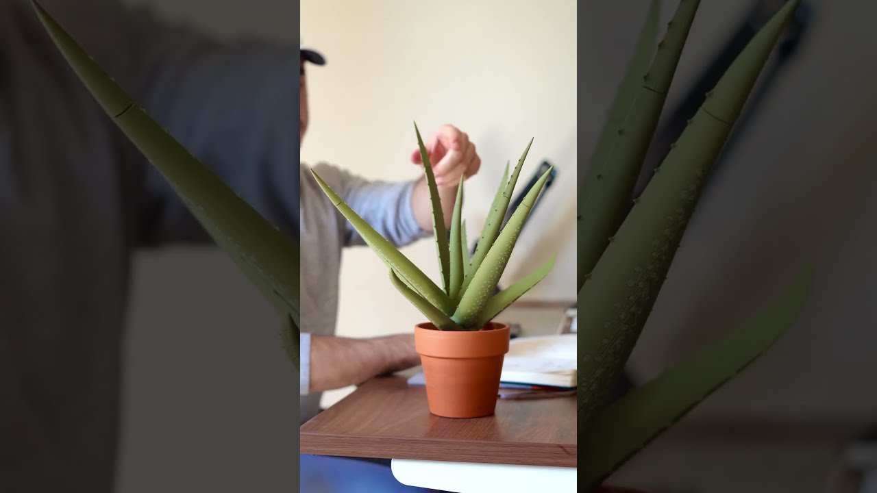 Can You 3D Print Real Plants 