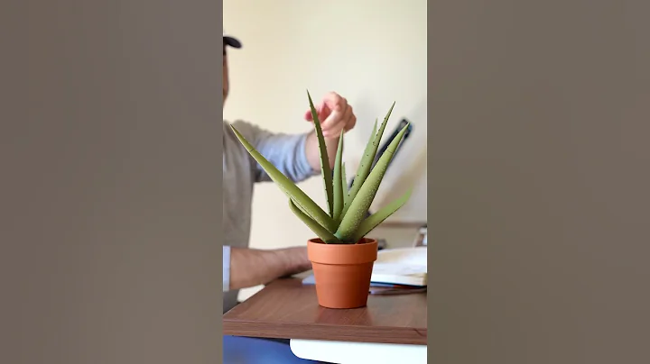 Can you 3D print real plants? - DayDayNews
