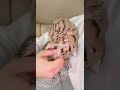 البومة النسرية البومة النسرية