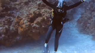 GoPro Quik Grand Cayman 2018 Dancing after seeing a nurse shark
