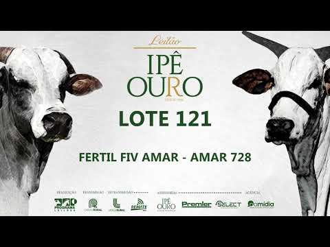 LOTE 121   AMAR 728