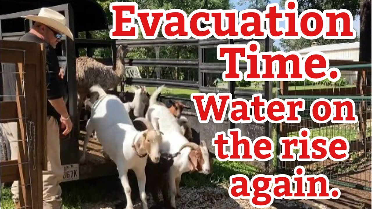 Water rising again, this time it’s serious. - YouTube