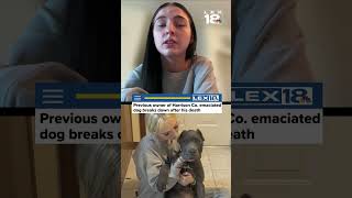 Previous owner of Harrison Co. emaciated dog breaks down after his death