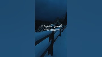 تلاوة تطهر قلبك 🌿 قرآن حالات واتس 🌿 من سورة الملك