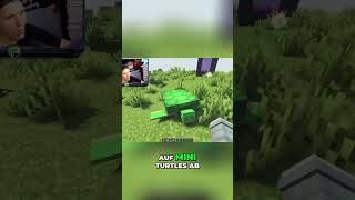 Minecraft: Katzen jagen Babyturtles &amp; Hasen – Das ist IRRE! #shorts