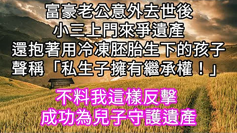 富豪老公意外去世後一個不認識的女人上門來爭遺產手裡抱着用冷凍胚胎生下的孩子 不料私自人工受精不受法律保護我這樣反擊 成功為兒子守護遺產#心書時光 #為人處事 #生活經驗 #情感故事 #唯美頻道 #爽文 - 天天要聞