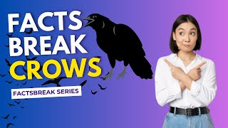 Did You Know A Group Of Crows Is Called A “murder” - Facts Break Series