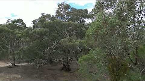 10m Site Analysis | BOWER STUDIO 2025