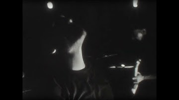 TIDEMACHINE - Wasteland (Official Video)