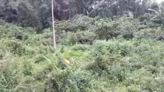 Must See Great ATM Camouflage - Penyamaran Tentera Darat screenshot 3