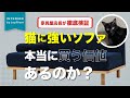 【ネコを飼っている方必見!8カ月間徹底検証】絶対にソファを破壊するネコVS絶対に破れないソファ!まさかの結果に...【リアル仁義なき戦い】