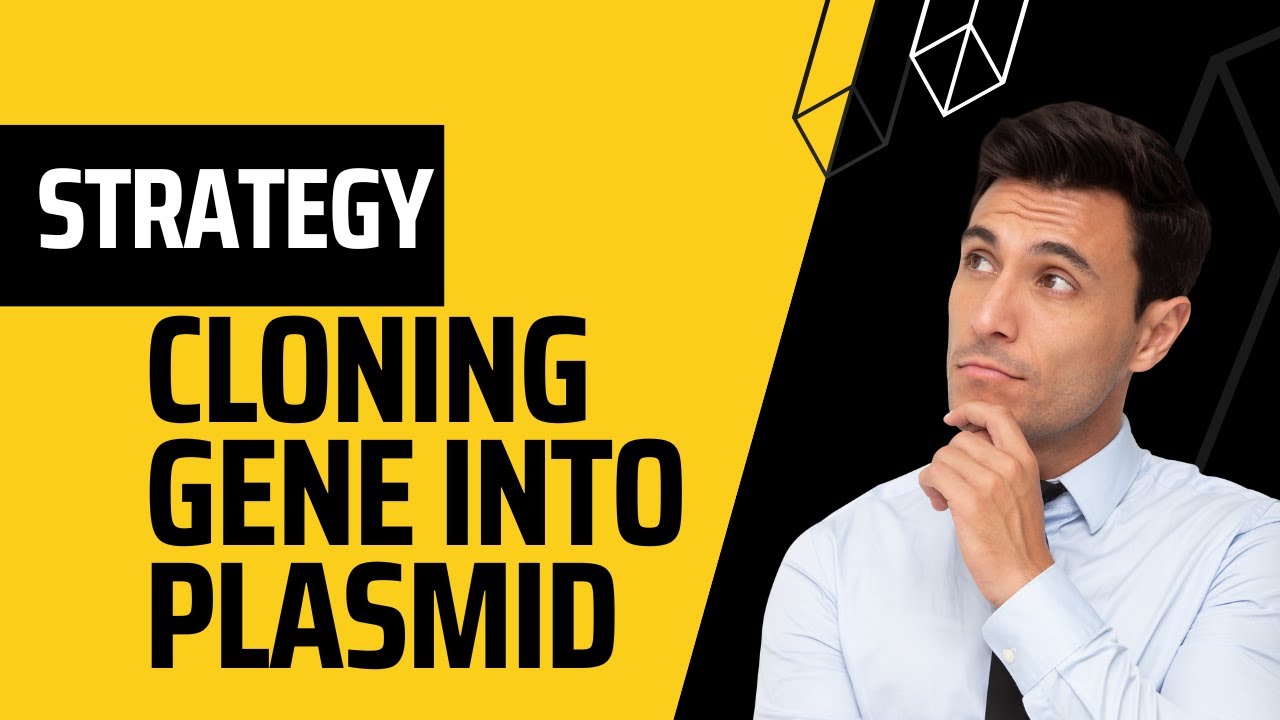 Plasmid Cloning Strategy l Steps explained in Hindi/Urdu genecloning 