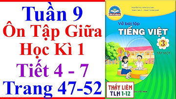 Vở Bài Tập Tiếng Việt Lớp 3 Tuần 9 Ôn Tập Giữa Học Kì 1 Trang 47 - 52 Chân Trời Sáng Tạo Tiết 4 - 7