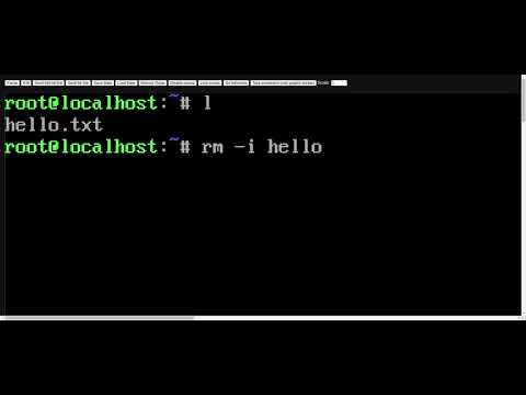 bash delete file with y/n prompt