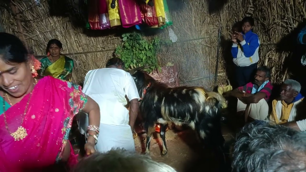 Purru yarakayya golla Chaduvu phone number  91774 36081