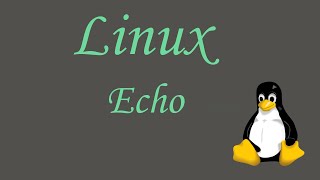 Tutoriel 2 - Echo