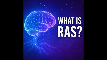 Reticular Activating System (RAS)—And How It Secretly Shapes Your Life