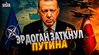 Эрдоган ЖЕСТКО ВРЕЖЕТ Путину! Турция спешит на помощь: вторая армия НАТО ВРЫВАЕТСЯ В БОЙ
