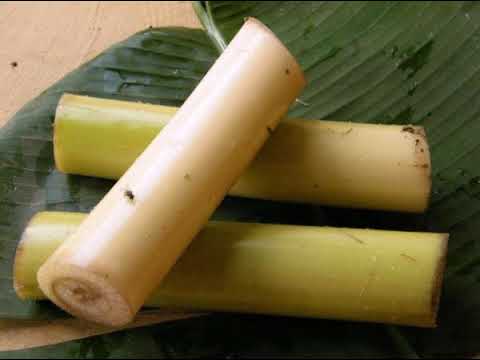 unexpected-health-benefits-of-banana-stems