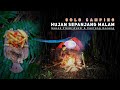 Solo Camping Tengah Hutan | Terjebak Hujan Sepanjang Malam