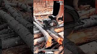 Portable Circular Saw Tool: Faster, Neater, and Practical Wood Log Cutting #tool #tools #innovation
