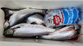 🔴 LIVE - Lake Michigan Fishing Report for 7/1/23 