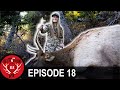 Jessi Shot a Unicorn!!! (Destination Elk V3 - Episode 18)