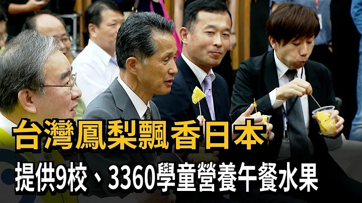 台湾凤梨再度销往日本 力拼年底破两万公吨－民视新闻 - 天天要闻