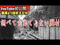 【廃村探索】離村から数十年経過した紀伊半島・和歌山県にある廃集落へ行ってみた