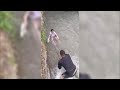 В Бишкеке мужчина спас девочку, упавшую в быстроток / 11.06.21 / НТС