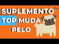 CAÍDA DE PELO PERROS/CAÍDA DE PELO ESTACIONAL/MUDA DE PELO PERROS.¡EL MEJOR SUPLEMENTO!