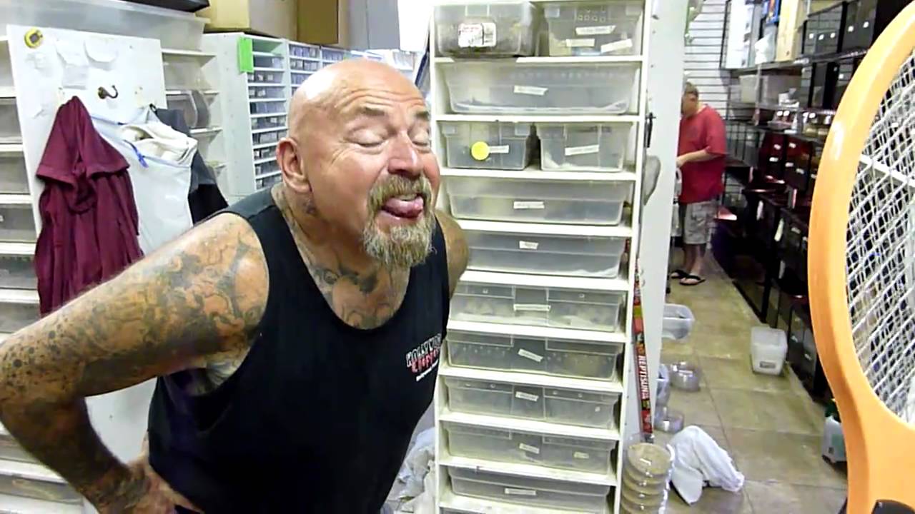 ELECTRIC FLY SWATTER VS SNAKE TATTOO YouTube