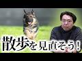 やっぱり散歩が大事!吠え・拾い食いが改善する理由