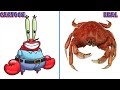 SpongeBob SquarePants Characters In Real Life