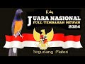 masteran MURAI BATU full TEMBAKAN MEWAH // tengkekbuto,kenari,cucakjongkok,dll #muraijuaranasional