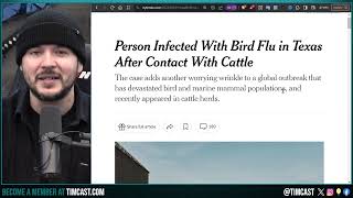 Bird Flu Infected Human, Black Swan Bird Flu Pandemic Could Threaten Election With New Lockdowns