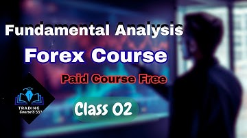 Learn Forex Trading That Actually Makes Money