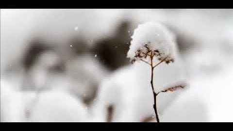 سورة الكهف بصوت جميل جدا وممتعة HQ