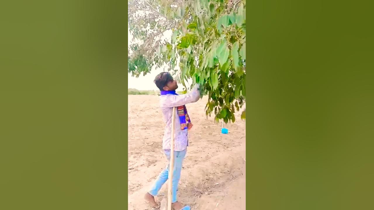 PREM CHANDANNA JADVA || BABU AAHIR TRENDING SONG#gujaratisong #dayro #shorts PREM CHANDANNA JADVA || BABU AAHIR TRENDING SONG#gujaratisong #dayro #shorts