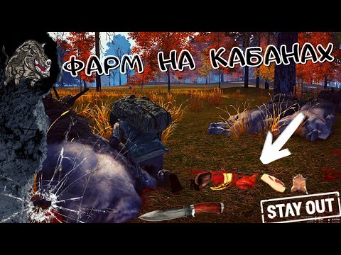 Видео: ► Stay Out///Stalker online ✬ Sem Games ✬ на EU-1 Фарм на черном лесу очки опыта для полковника
